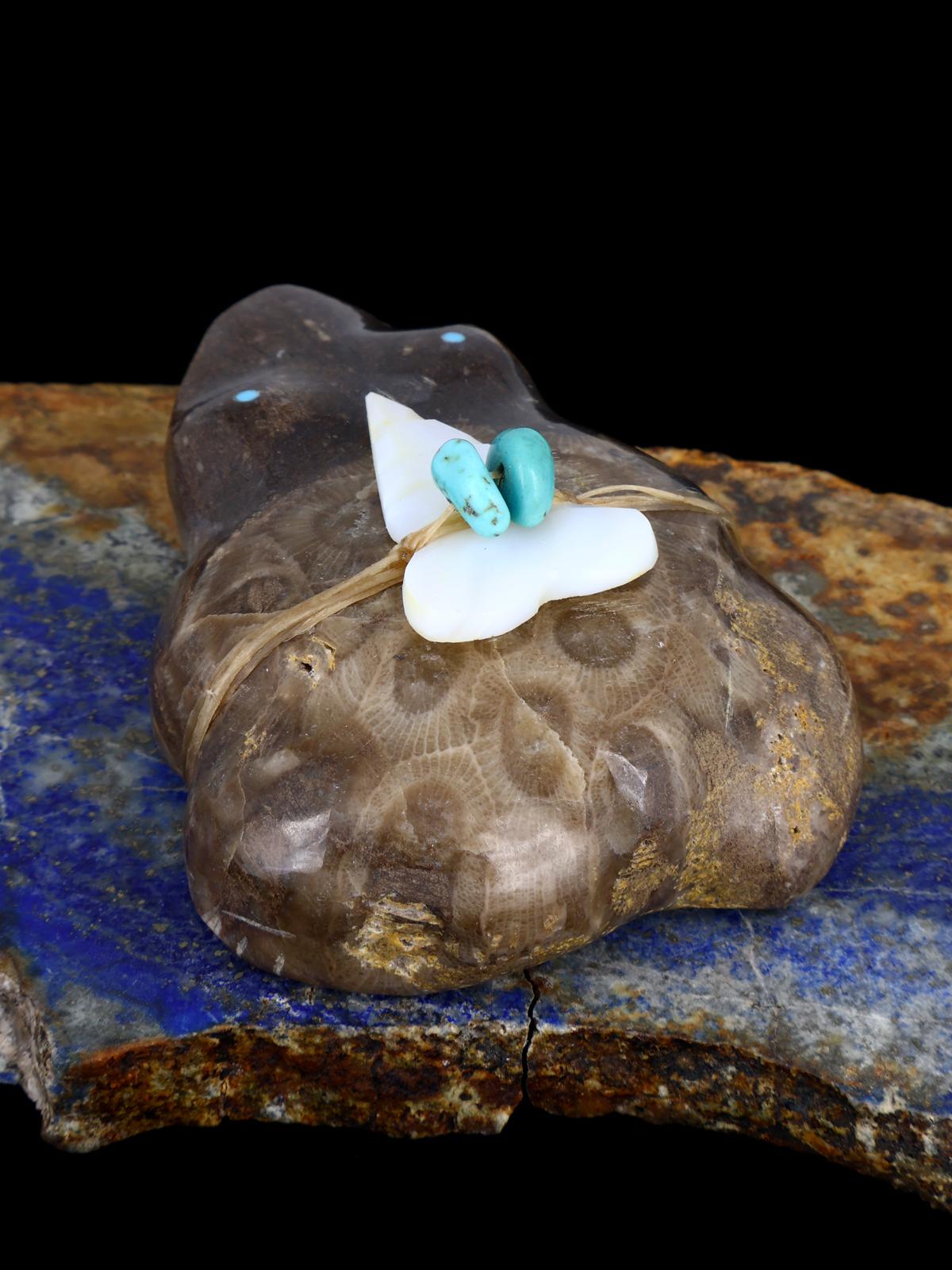 Fossil Stone Frog Zuni Fetish - PuebloDirect.com