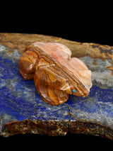 Onyx Badger Zuni Fetish - PuebloDirect.com