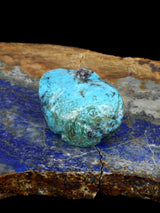 Turquoise Frog Zuni Fetish - PuebloDirect.com