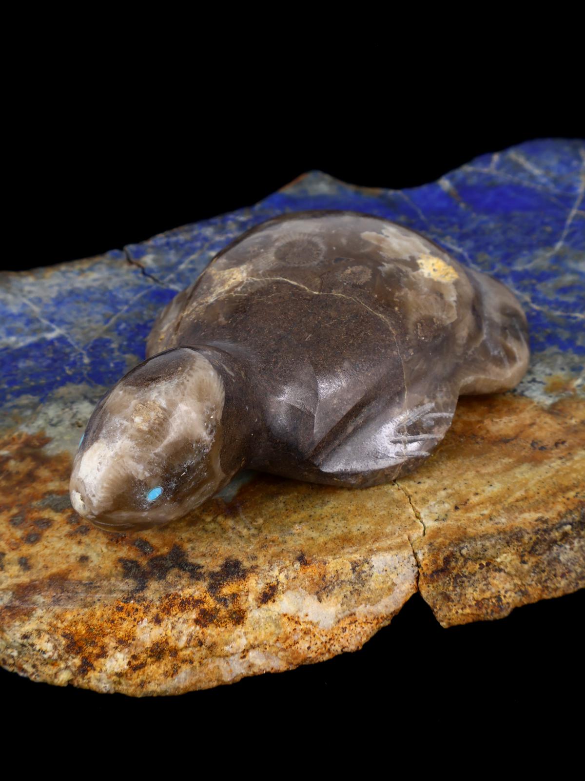 Fossil Stone Turtle Zuni Fetish