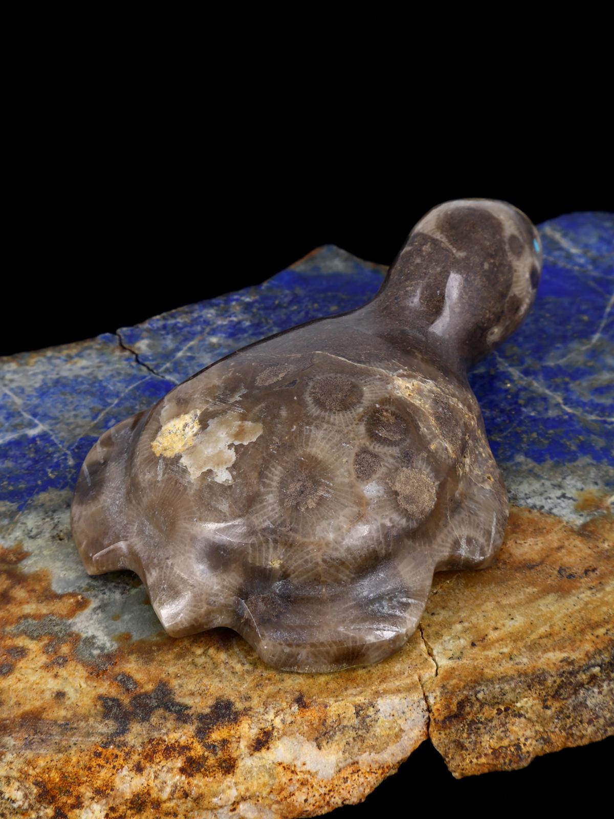 Fossil Stone Turtle Zuni Fetish