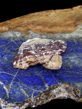 Serpentine Frog Zuni Fetish - PuebloDirect.com