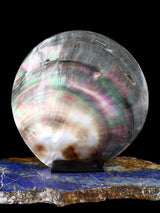 Bigfoot Shell Zuni Fetish - PuebloDirect.com