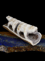 Antler Hippo Family Zuni Fetish - PuebloDirect.com