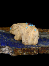 Serpentine Rabbit Zuni Fetish - PuebloDirect.com