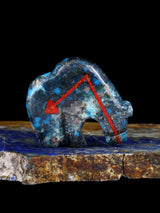 Turquoise Bear Zuni Fetish