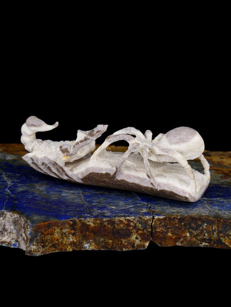 Antler Spiders Zuni Fetish