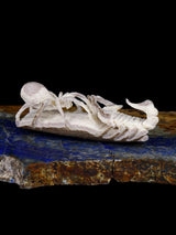 Asta Araña Zuni Fetiche