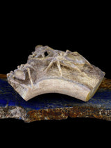 Fétiche de Zuni d'araignée de bois