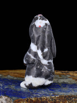 Marble Rabbit Zuni Fetish - PuebloDirect.com