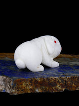White Marble Rabbit Zuni Fetish - PuebloDirect.com
