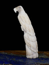 Antler Eagle Family Zuni Fetish - PuebloDirect.com