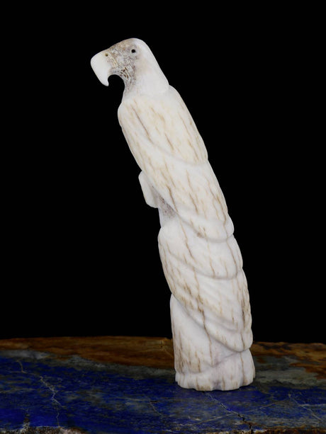 Antler Eagle Family Zuni Fetish - PuebloDirect.com