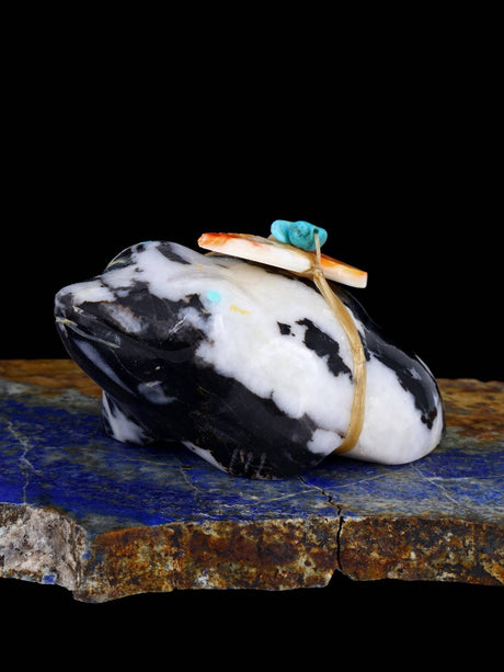 Zebra Marble Frog Zuni Fetish - PuebloDirect.com