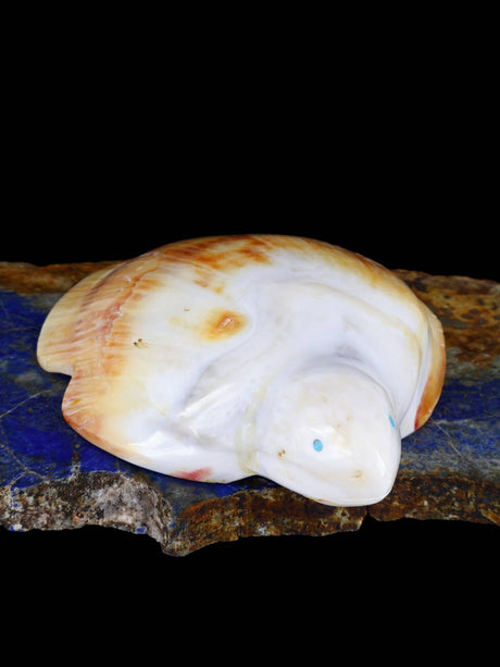 Shell Turtle Zuni Fetish - PuebloDirect.com
