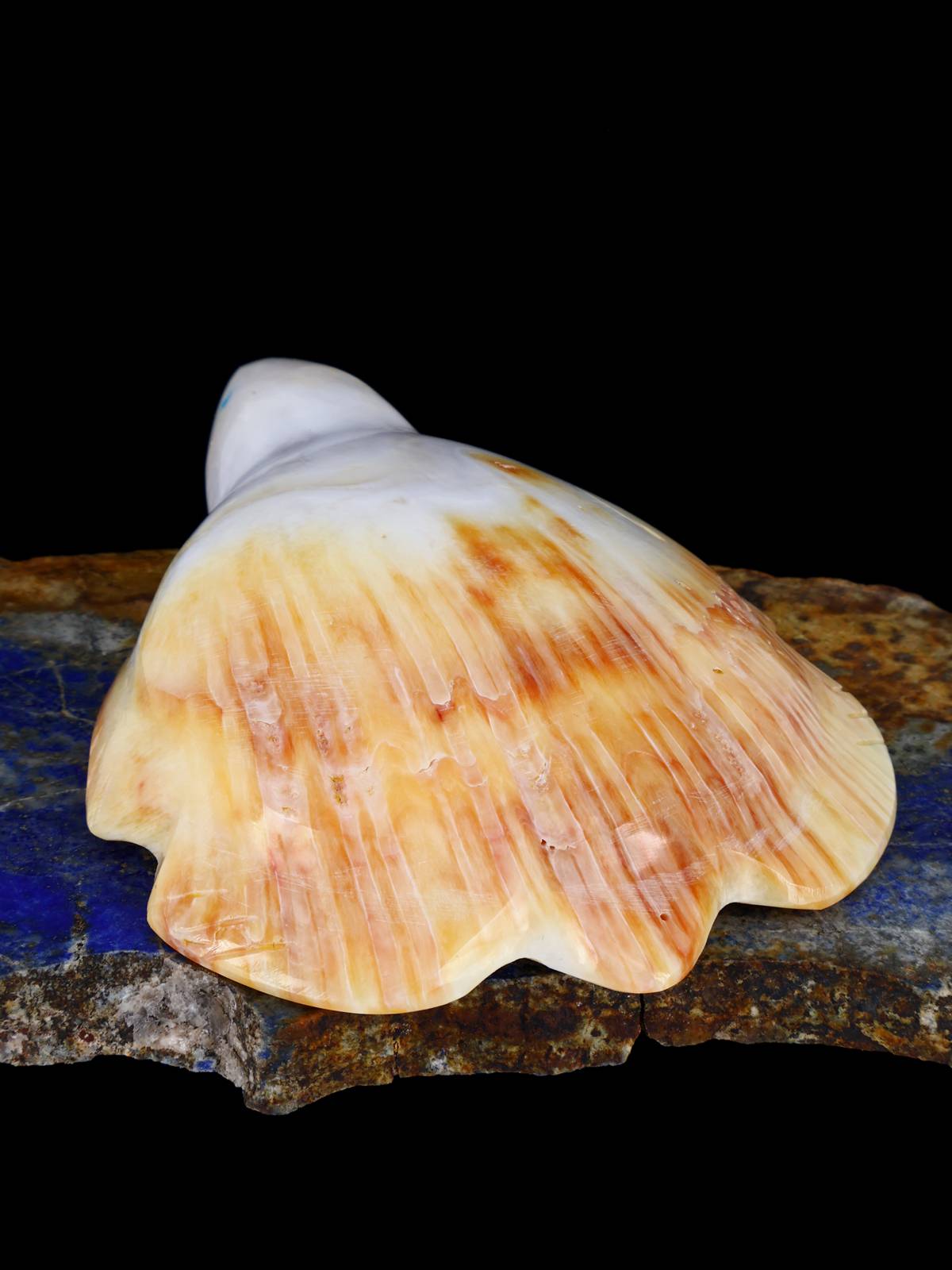 Shell Turtle Zuni Fetish - PuebloDirect.com