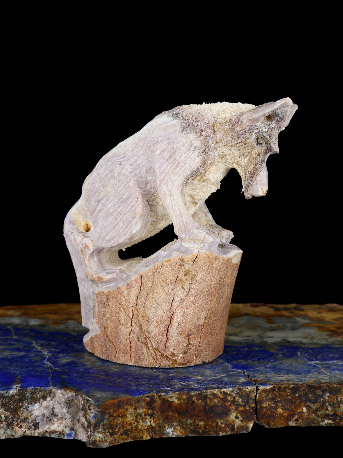 Antler Wolf Zuni Fetish - PuebloDirect.com