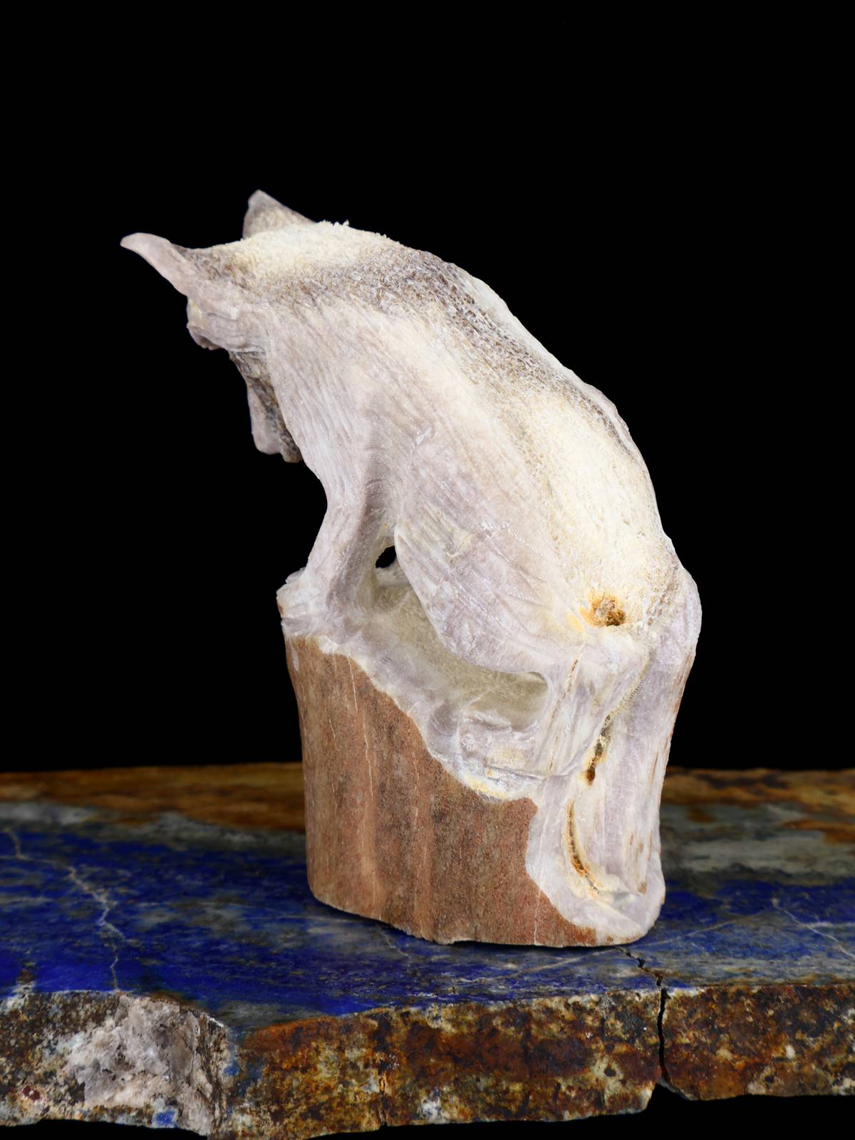 Antler Wolf Zuni Fetish - PuebloDirect.com