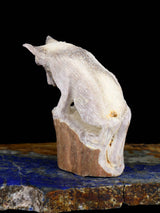 Antler Wolf Zuni Fetish - PuebloDirect.com