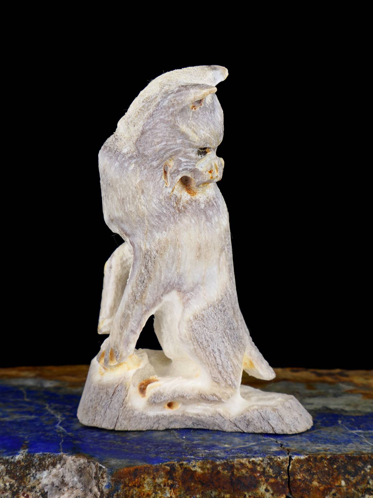 Antler Wolf Zuni Fetish - PuebloDirect.com