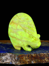 Mojave Turquoise Bear Zuni Fetish - PuebloDirect.com