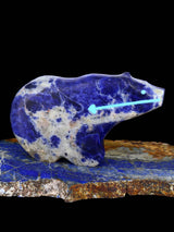 Sodalite Bear Zuni Fetish - PuebloDirect.com