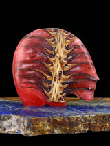 Pinecone in Resin Medicine Bear Zuni Fetish - PuebloDirect.com