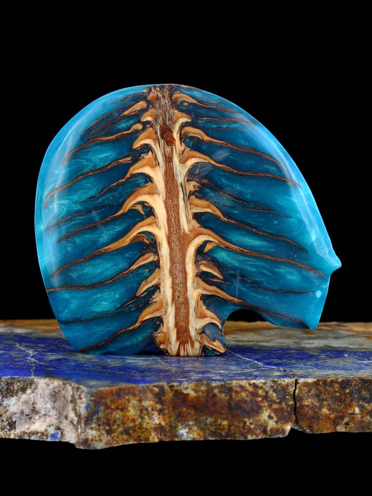 Pinecone in Resin Medicine Bear Zuni Fetish - PuebloDirect.com