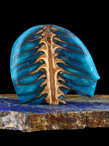 Pinecone in Resin Medicine Bear Zuni Fetish - PuebloDirect.com