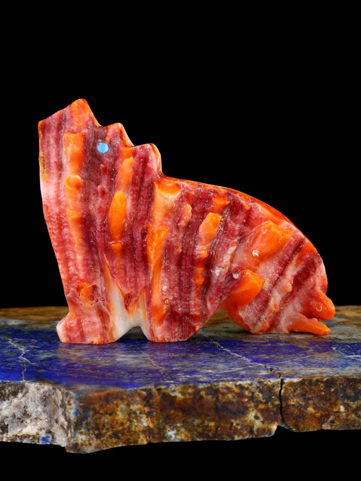 Spiny Oyster Coyote Zuni Fetish - PuebloDirect.com