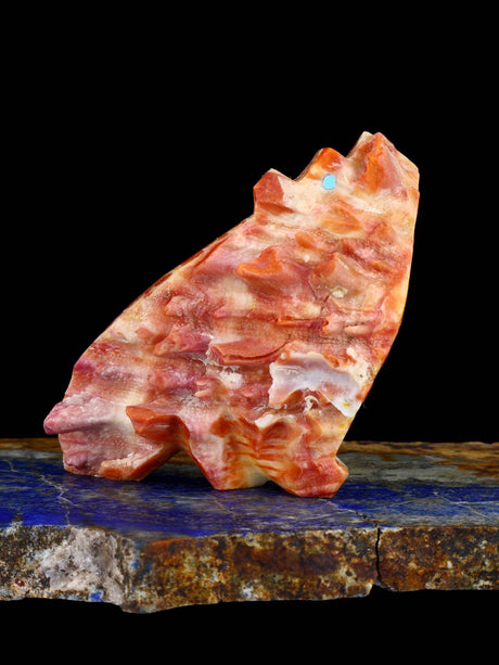 Spiny Oyster Coyote Zuni Fetish - PuebloDirect.com