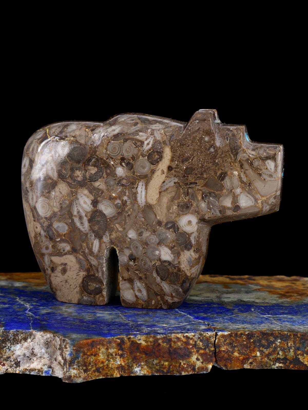 Fossil Rock Bear Zuni Fetish - PuebloDirect.com