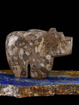 Fossil Rock Bear Zuni Fetish - PuebloDirect.com