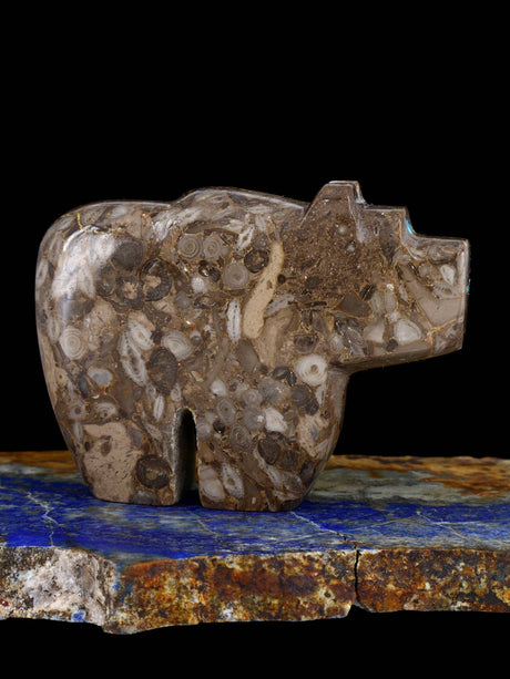 Fossil Rock Bear Zuni Fetish - PuebloDirect.com