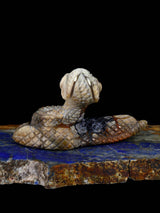 Picasso Marble Rattlesnake Zuni Fetish - PuebloDirect.com