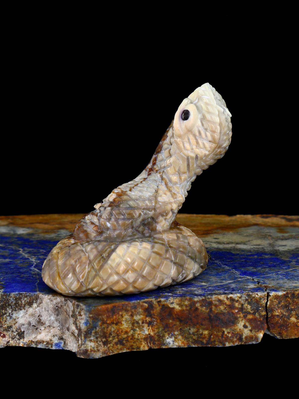 Picasso Marble Rattlesnake Zuni Fetish - PuebloDirect.com
