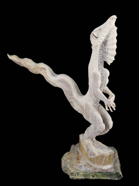 Antler Lizard Zuni Fetish Carving - PuebloDirect.com