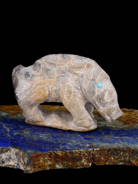 Fossil Stone Boar Zuni Fetish - PuebloDirect.com