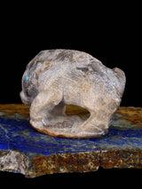 Fossil Stone Boar Zuni Fetish - PuebloDirect.com