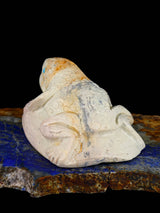 Serpentine Toad Zuni Fetish - PuebloDirect.com