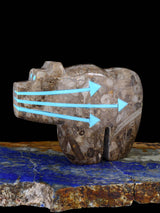 Fossil Rock Bear Zuni Fetish - PuebloDirect.com