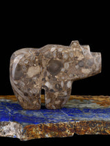 Fossil Rock Bear Zuni Fetish - PuebloDirect.com