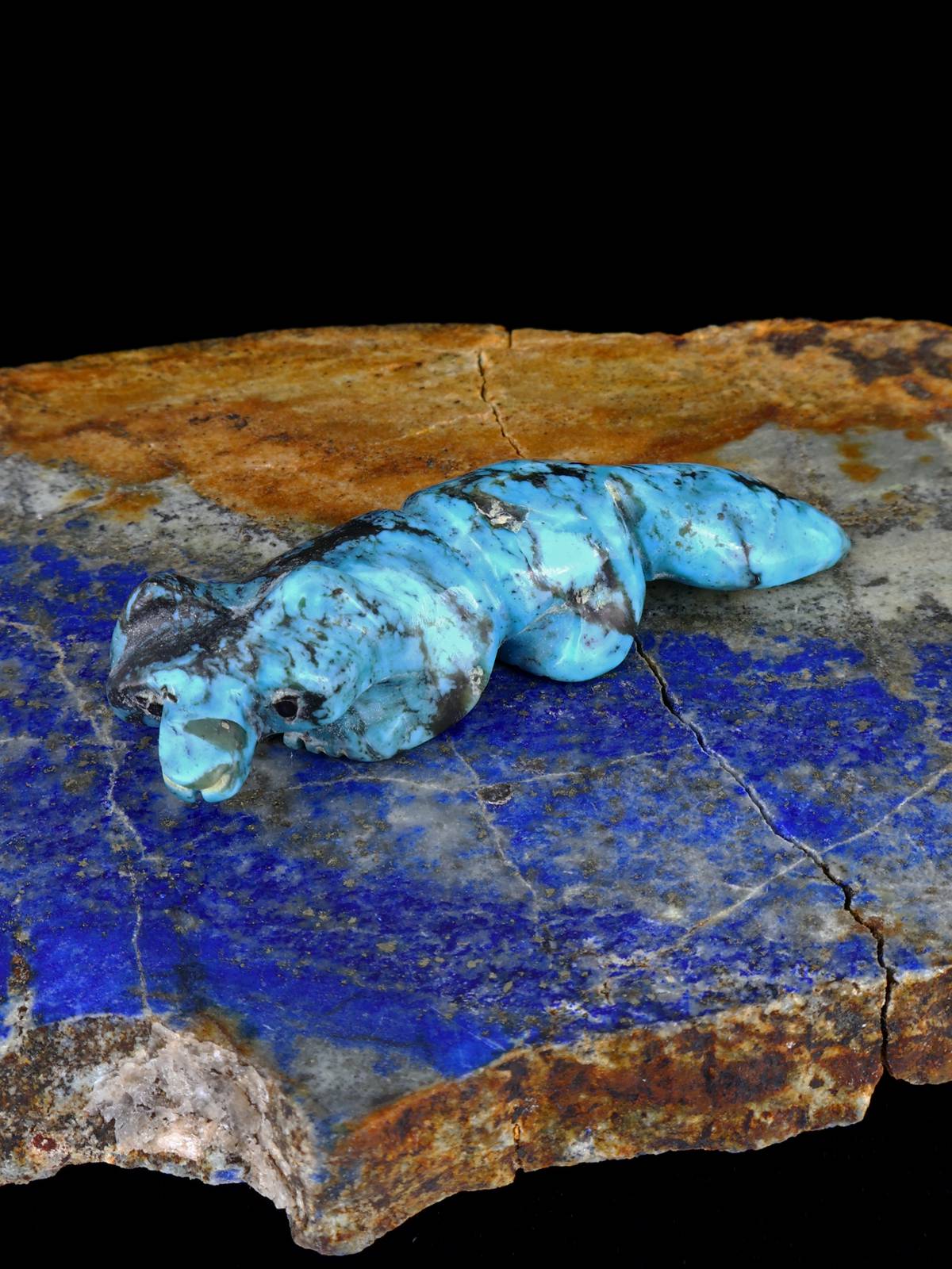 Turquoise Fox Zuni Fetish - PuebloDirect.com