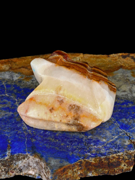 Onyx Frog Zuni Fetish - PuebloDirect.com
