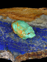 Turquoise Bear Zuni Fetish - PuebloDirect.com