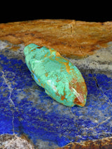 Turquoise Bear Zuni Fetish - PuebloDirect.com