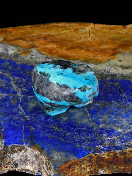 Turquoise Bear Zuni Fetish - PuebloDirect.com