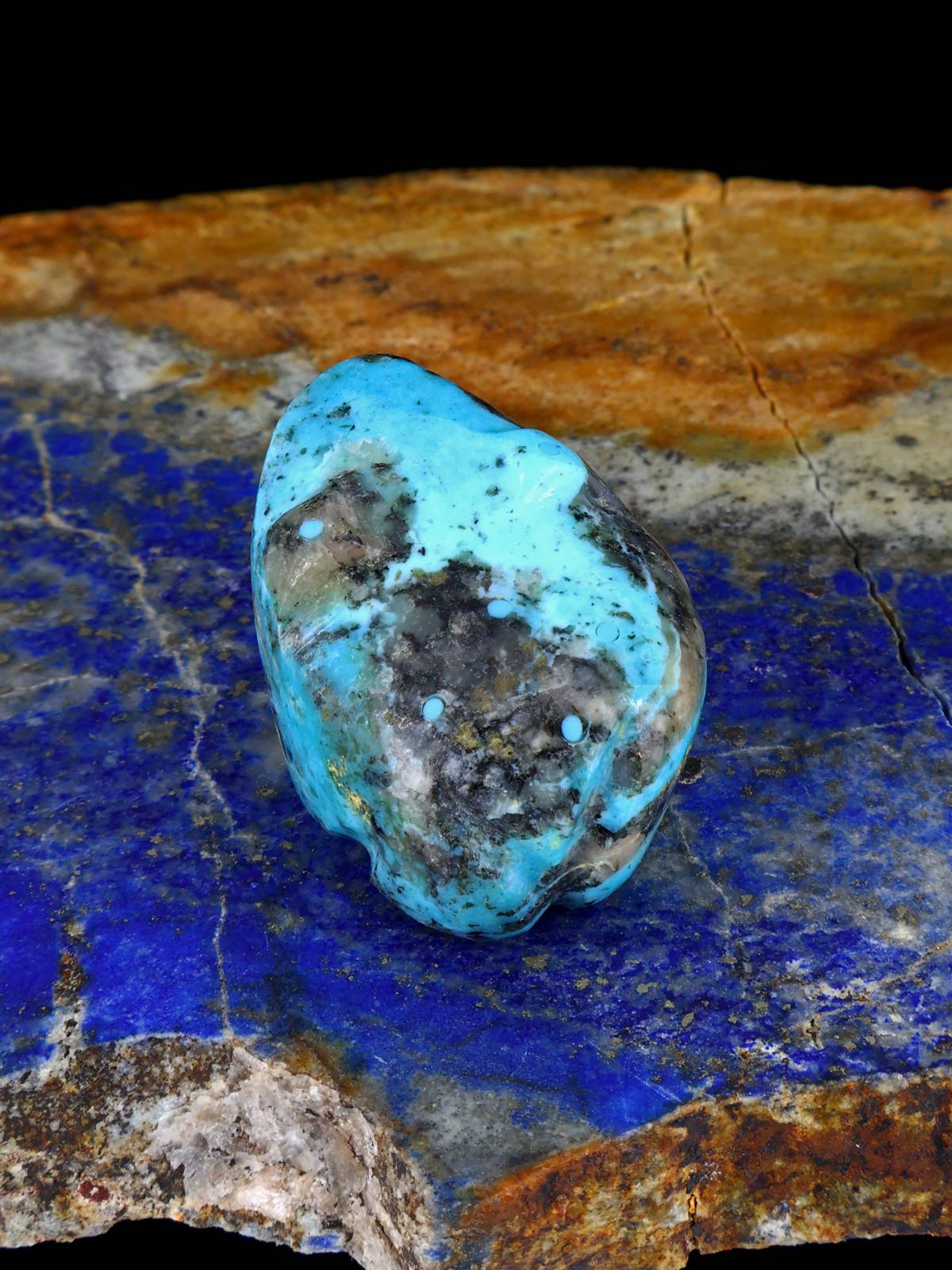Turquoise Bear Zuni Fetish - PuebloDirect.com