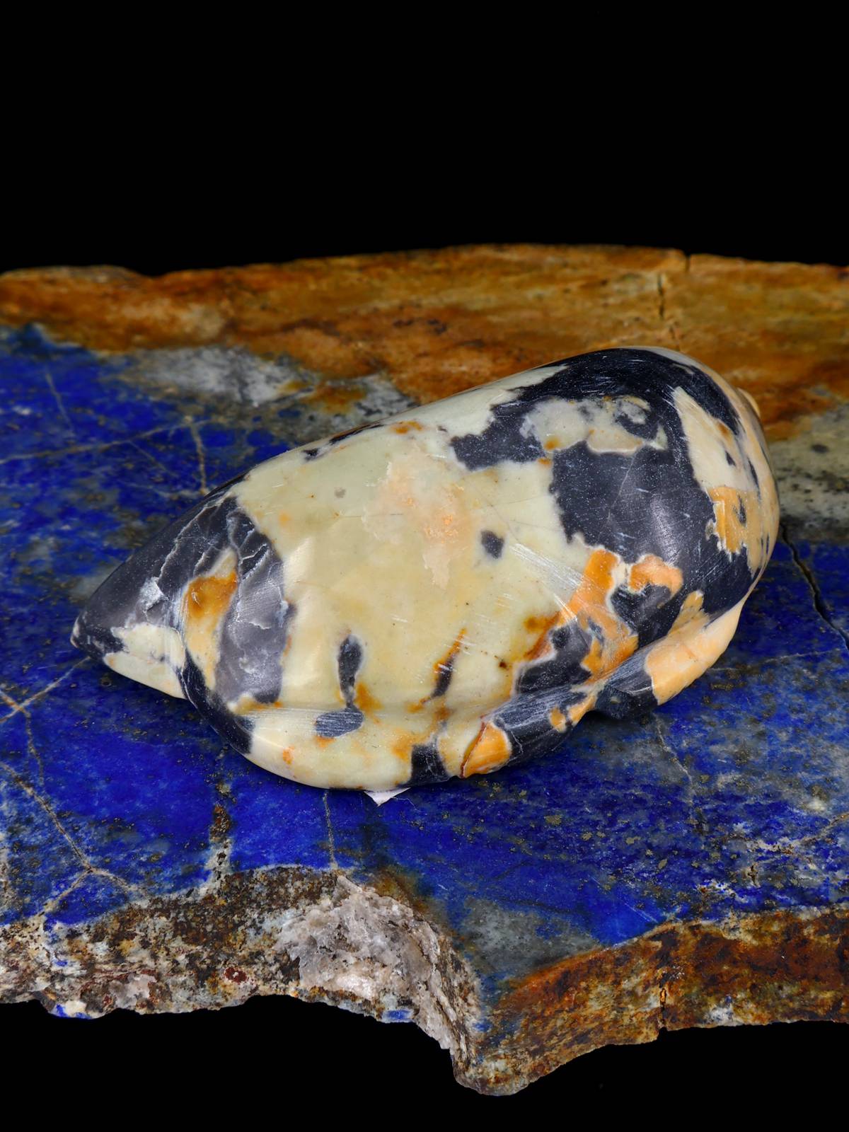 Egyptian Marble Mole Zuni Fetish - PuebloDirect.com