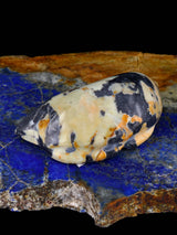 Egyptian Marble Mole Zuni Fetish - PuebloDirect.com